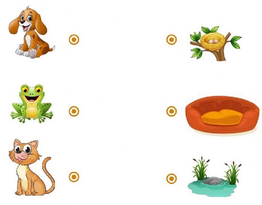 Dạng toán 5: Bài tập nối đồ vật có mối liên quan ở hai cột