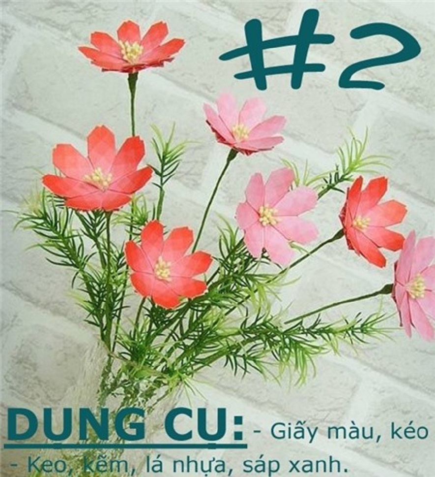 gap hoa 4