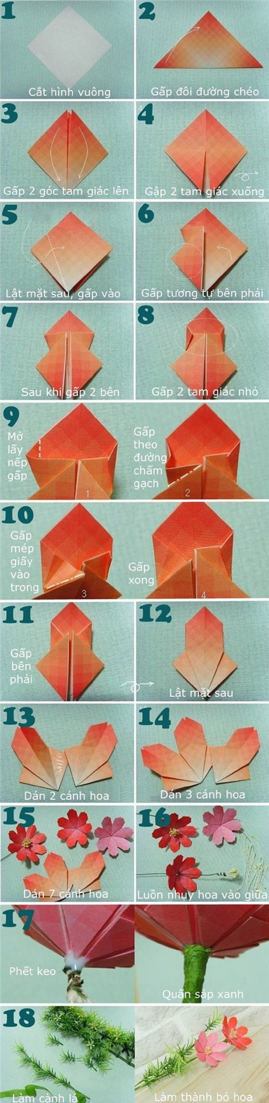 gap hoa 5